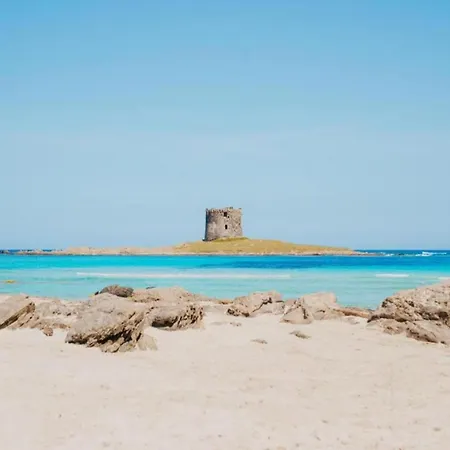 In Near Sea Stintino