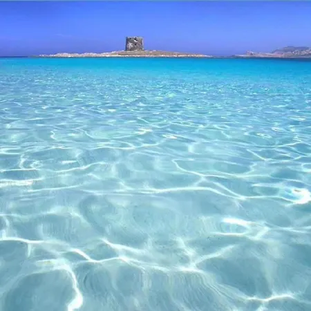 Hébergement de vacances In Near Sea Stintino