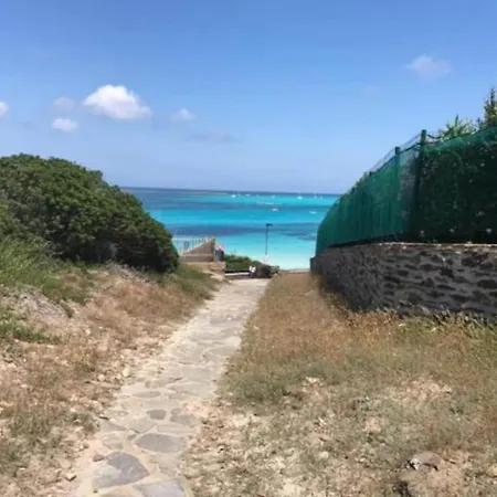 In Near Sea Stintino