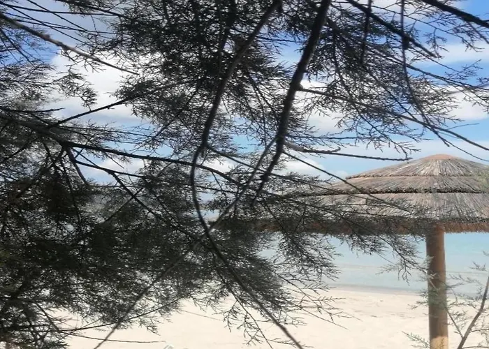 In Near Sea סטינטינו