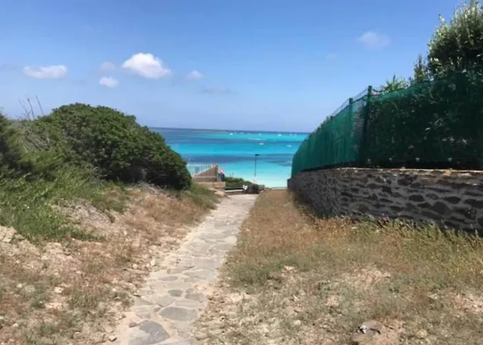 In Near Sea סטינטינו