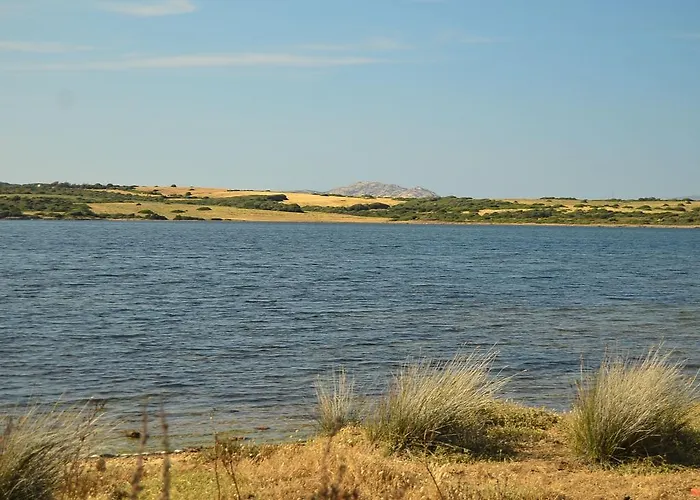 In Near Sea סטינטינו